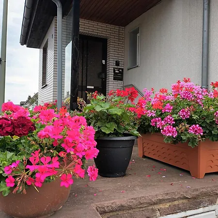 - 2 Apartment